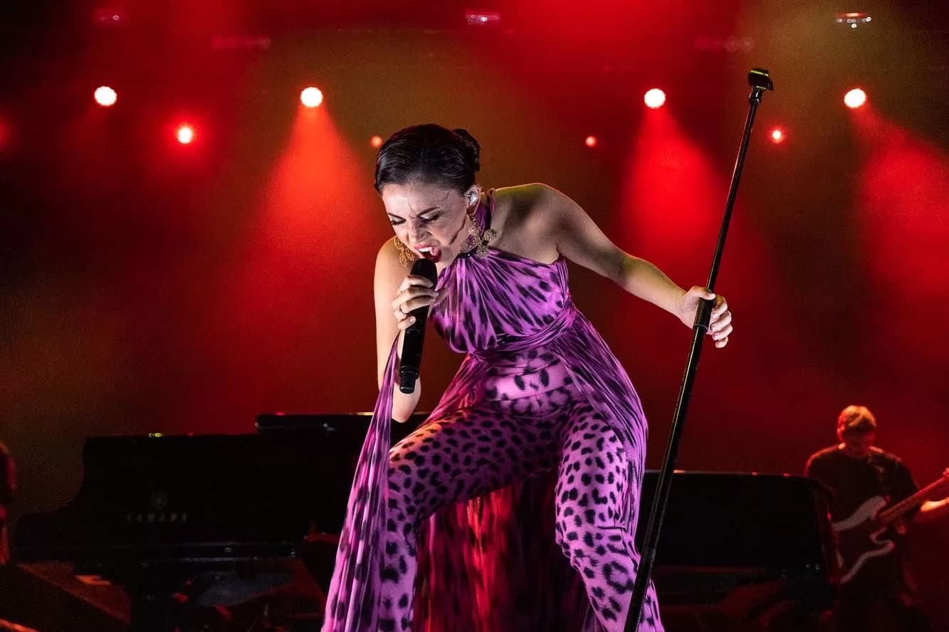 Karsu Dönmez profil fotoğrafı