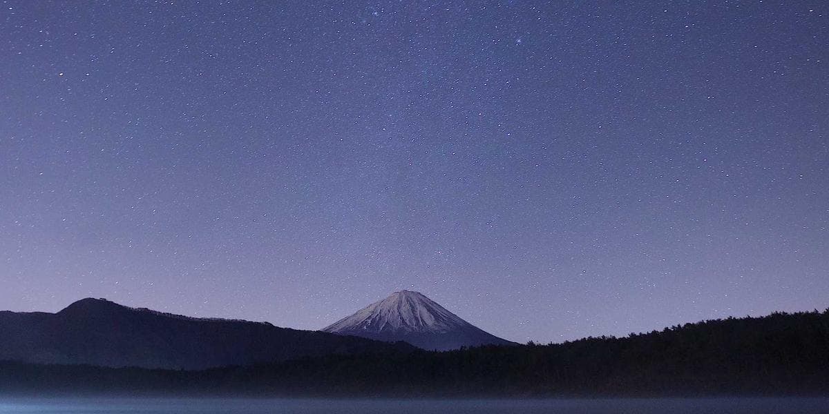 Booking & Menajerlik