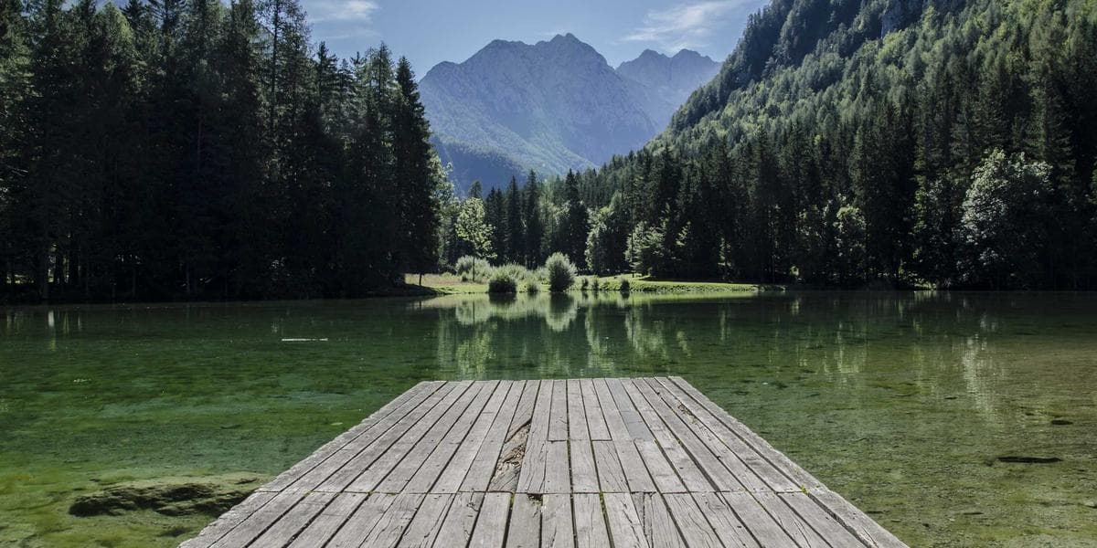 Etkinlik & Festival Organizasyonu