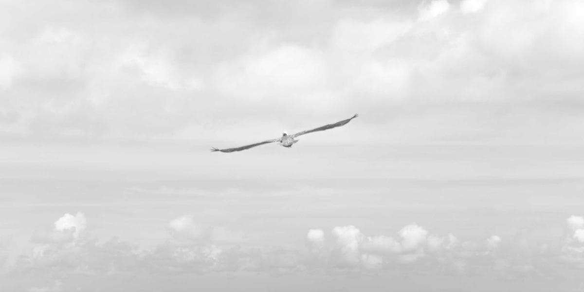 PR & Dijital Pazarlama